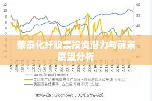 蒙泰化纤股票投资潜力与前景展望分析