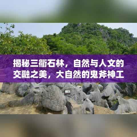 造价咨询 第57页