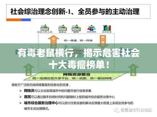 有毒老鼠横行,揭示危害社会十大毒瘤榜单!