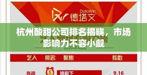 杭州酸甜公司排名揭晓,市场影响力不容小觑