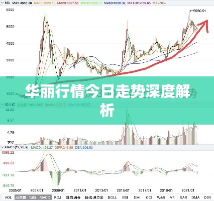 华丽行情今日走势深度解析