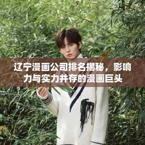 辽宁漫画公司排名揭秘,影响力与实力并存的漫画巨头