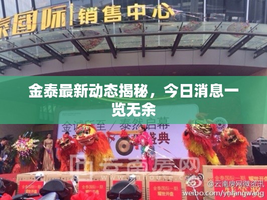 金泰最新动态揭秘,今日消息一览无余