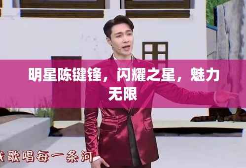 明星陈键锋,闪耀之星,魅力无限