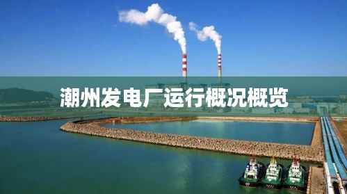 潮州发电厂运行概况概览